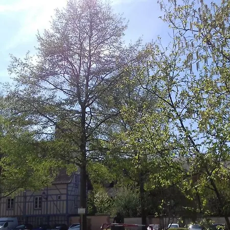 Apartment Le Saint Nizier